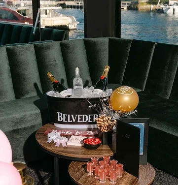 Belvedere bottle on ice